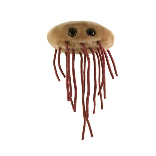 Plüss E-coli
