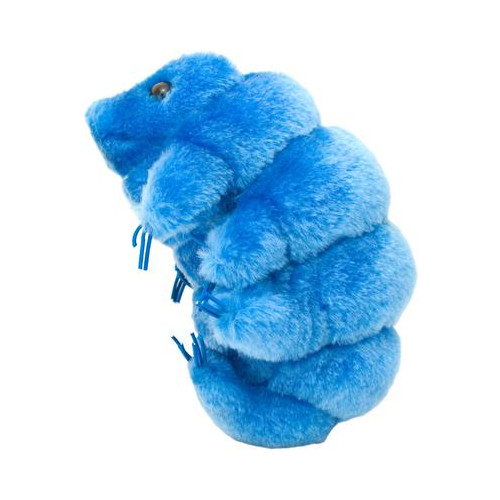 Plüss medveállatka