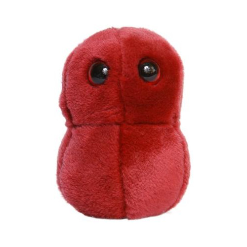 Plüss Streptococcus