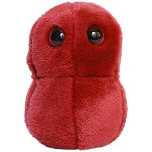 Plüss Streptococcus