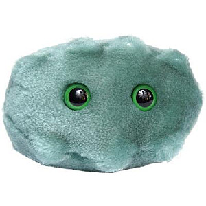 Plüss rossz lehelet