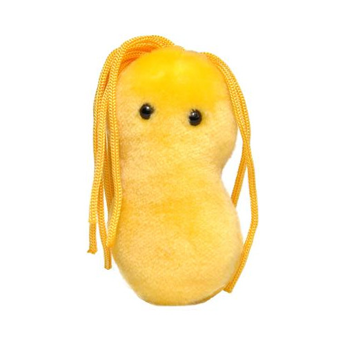 Plüss Helicobacter pylori