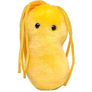 Plüss Helicobacter pylori